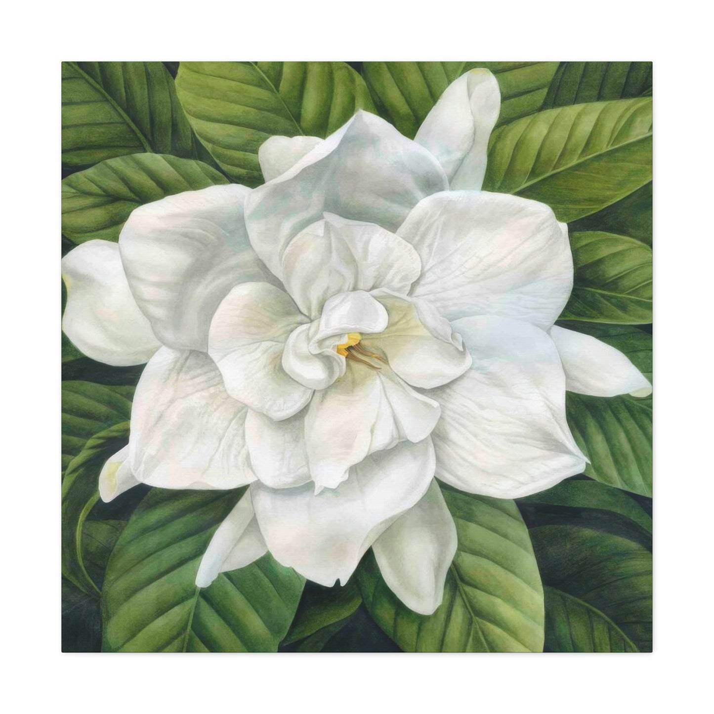 Grace Popp White Flower Head Wall Art & Canvas Prints