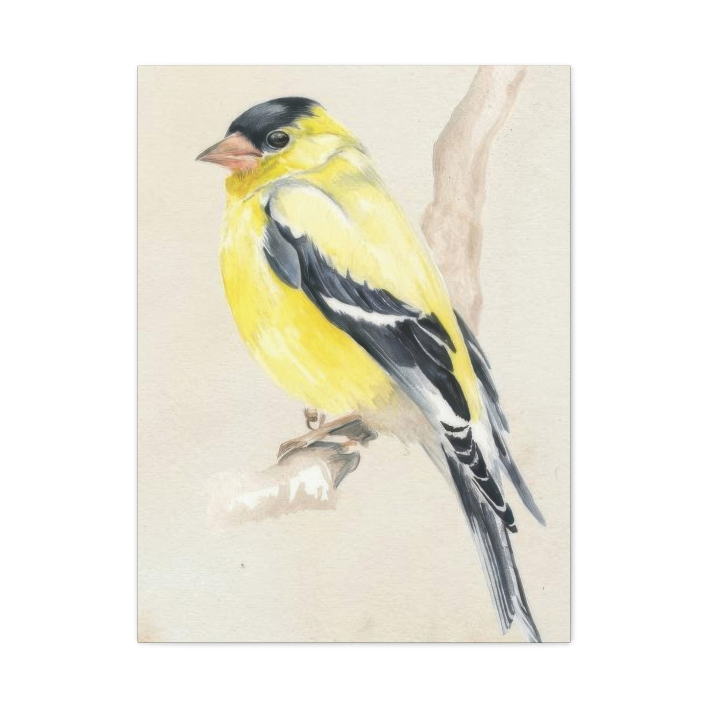 Jennifer Paxton Parker Little Bird On Branch 2 Wall Art & Canvas Prints