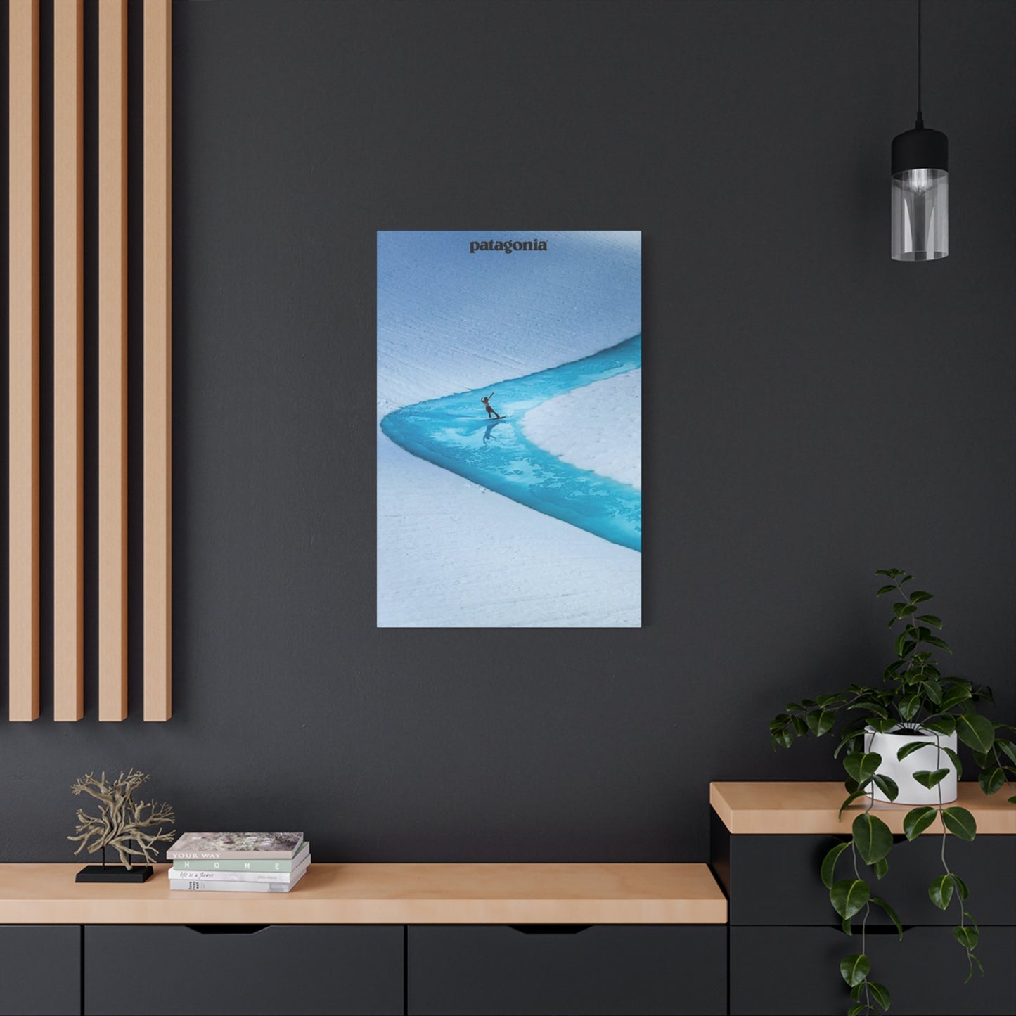 Patagonia River Skiing Wall Art & Canvas Prints