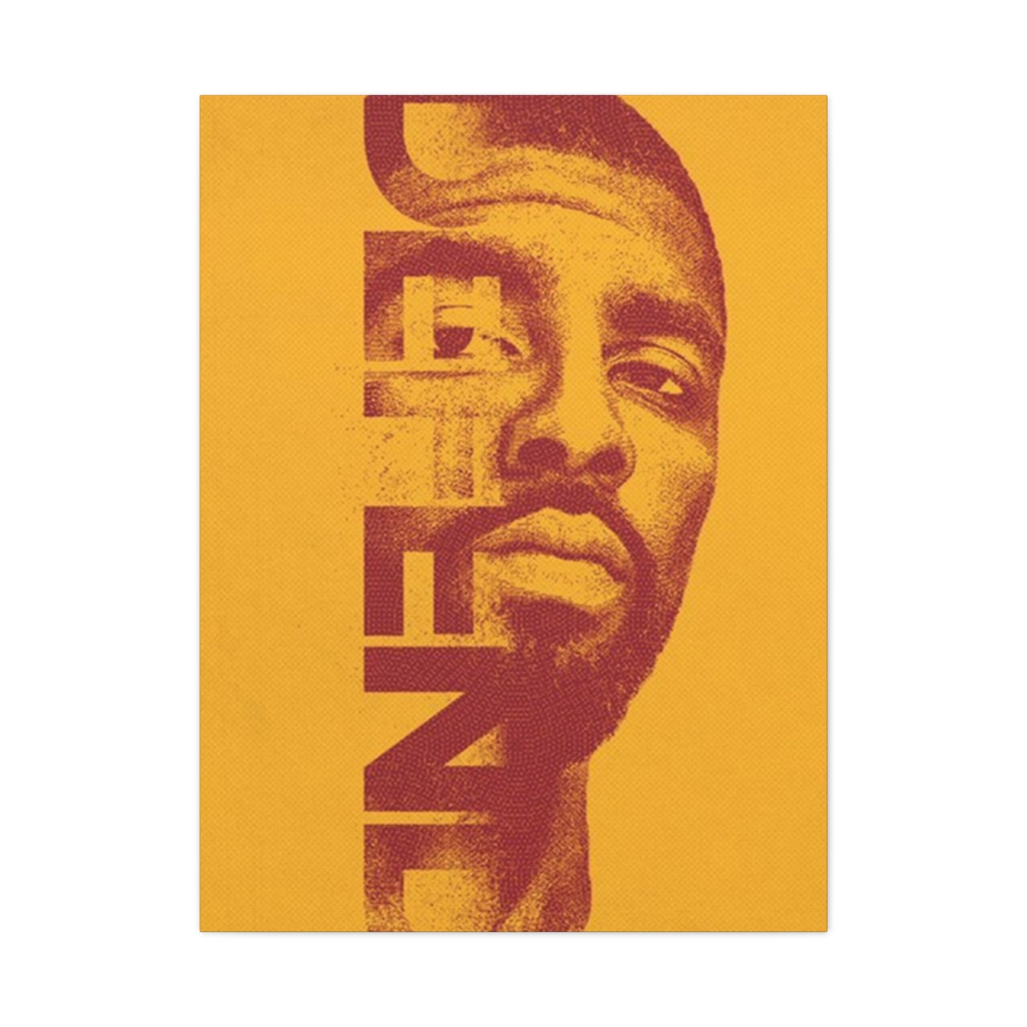 Defend Poster Wall Art & Canvas Prints
