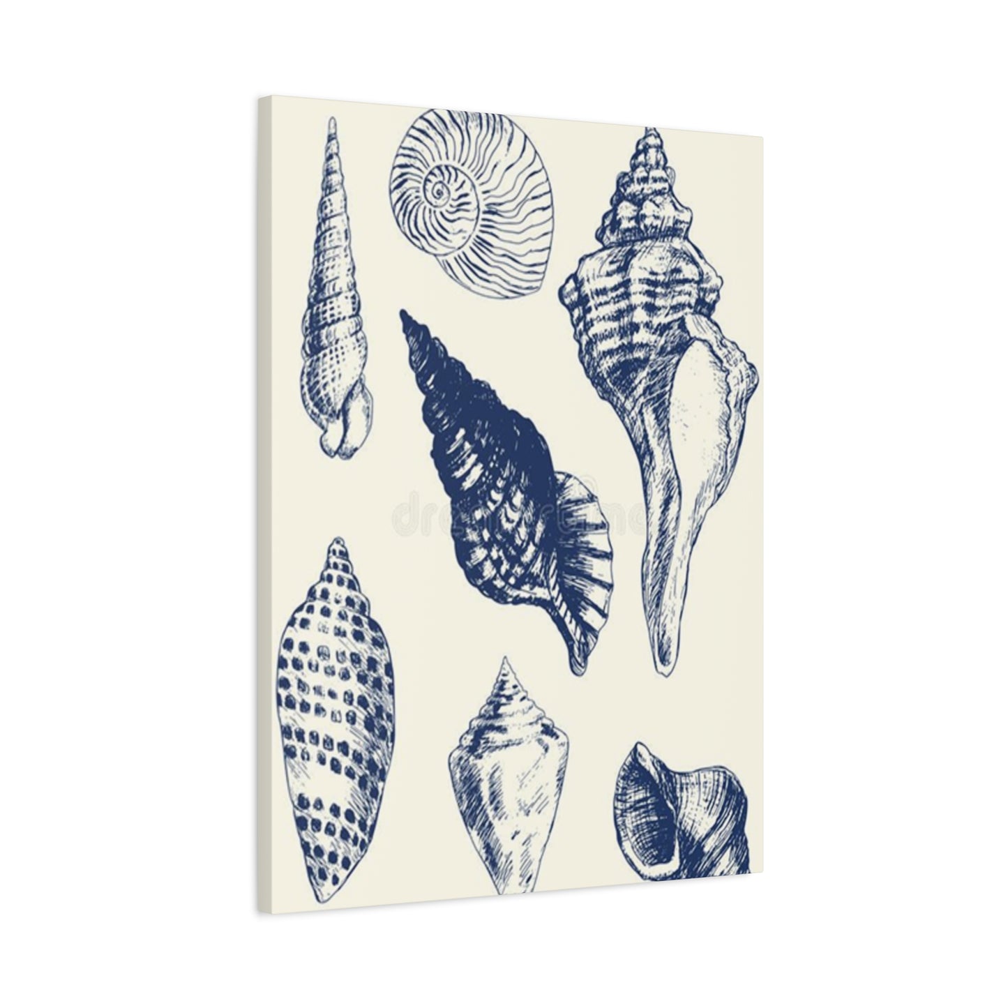 Blue Different Shell Shapes Drawing Wall Art & Canvas Prints
