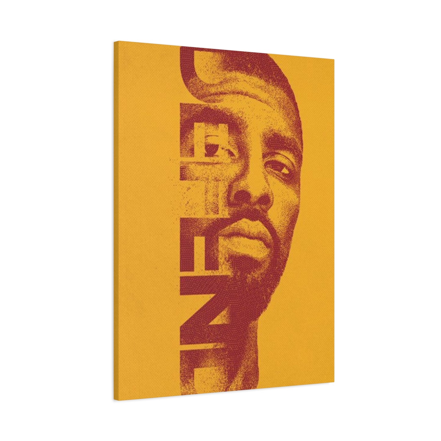 Defend Poster Wall Art & Canvas Prints