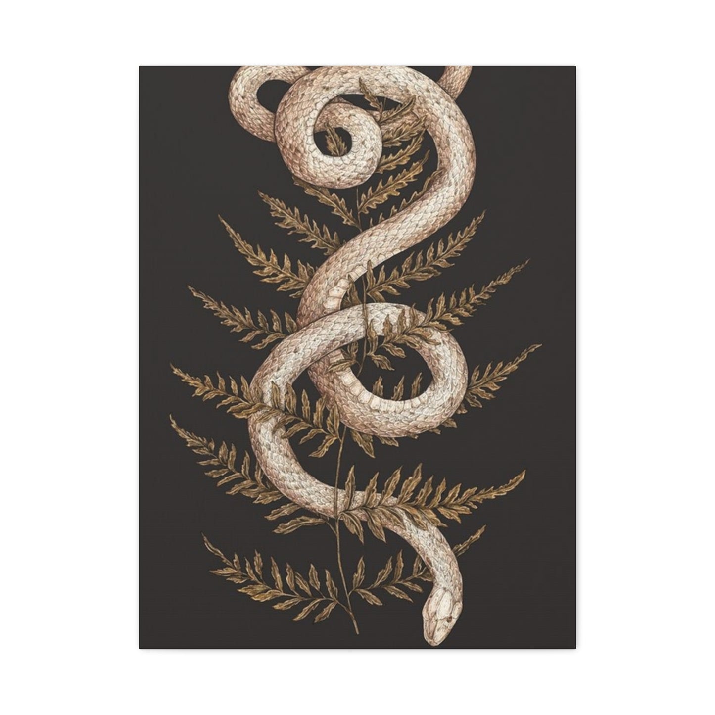 White Snake Wall Art & Canvas Prints