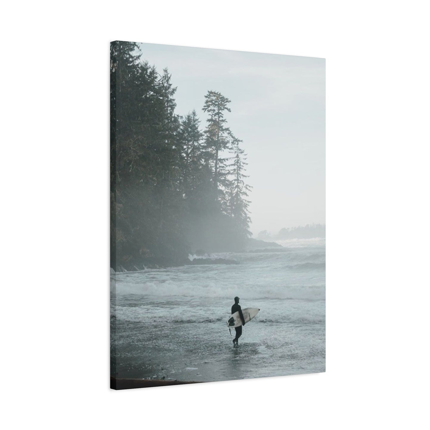 Black & White Surfing Poster Wall Art & Canvas Prints