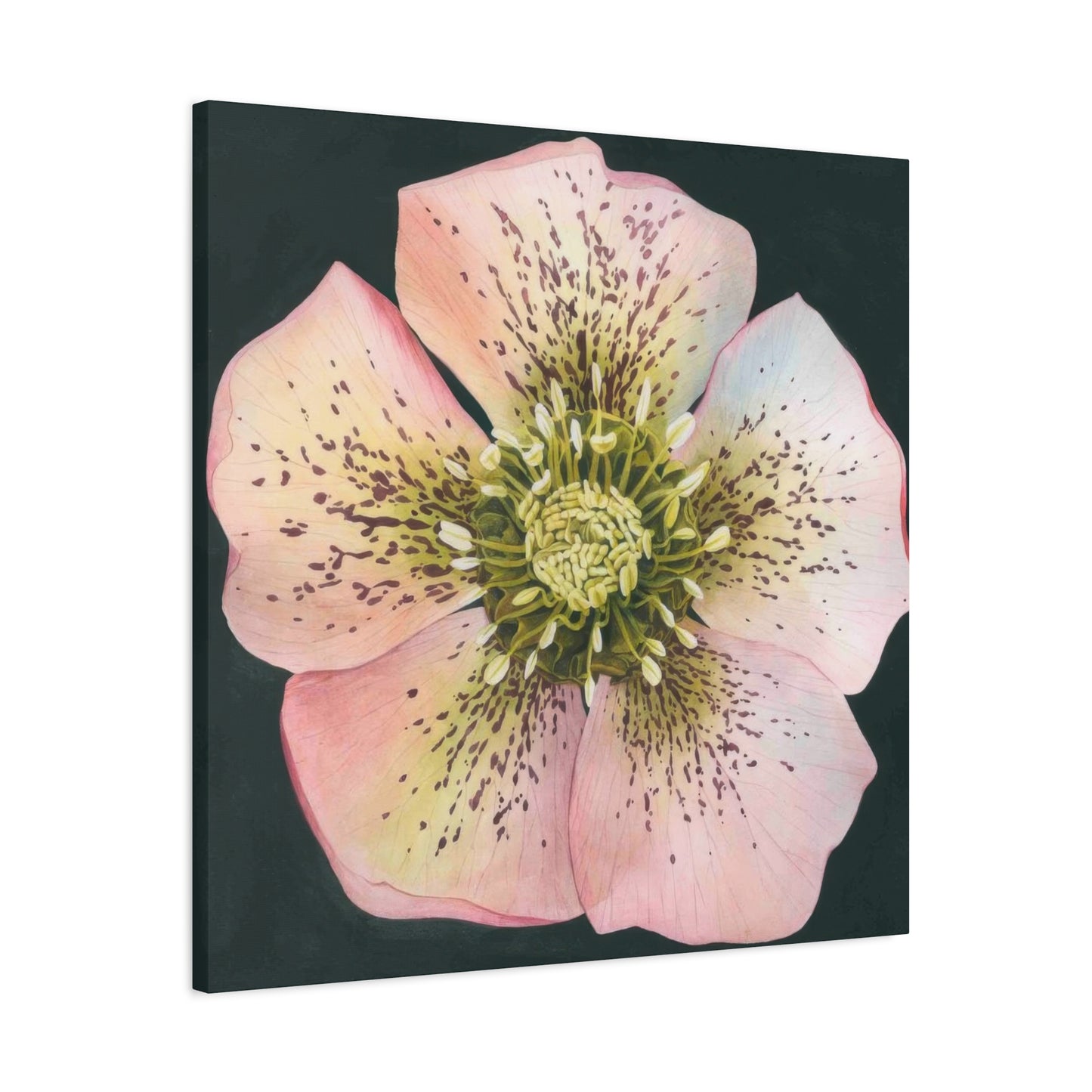 Grace Popp Flower Head Wall Art & Canvas Prints
