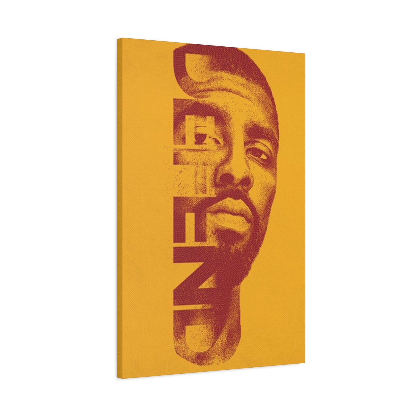 Defend Poster Wall Art & Canvas Prints