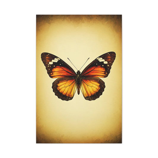 Vintage Monarch Butterfly Illustration Wall Art & Canvas Prints