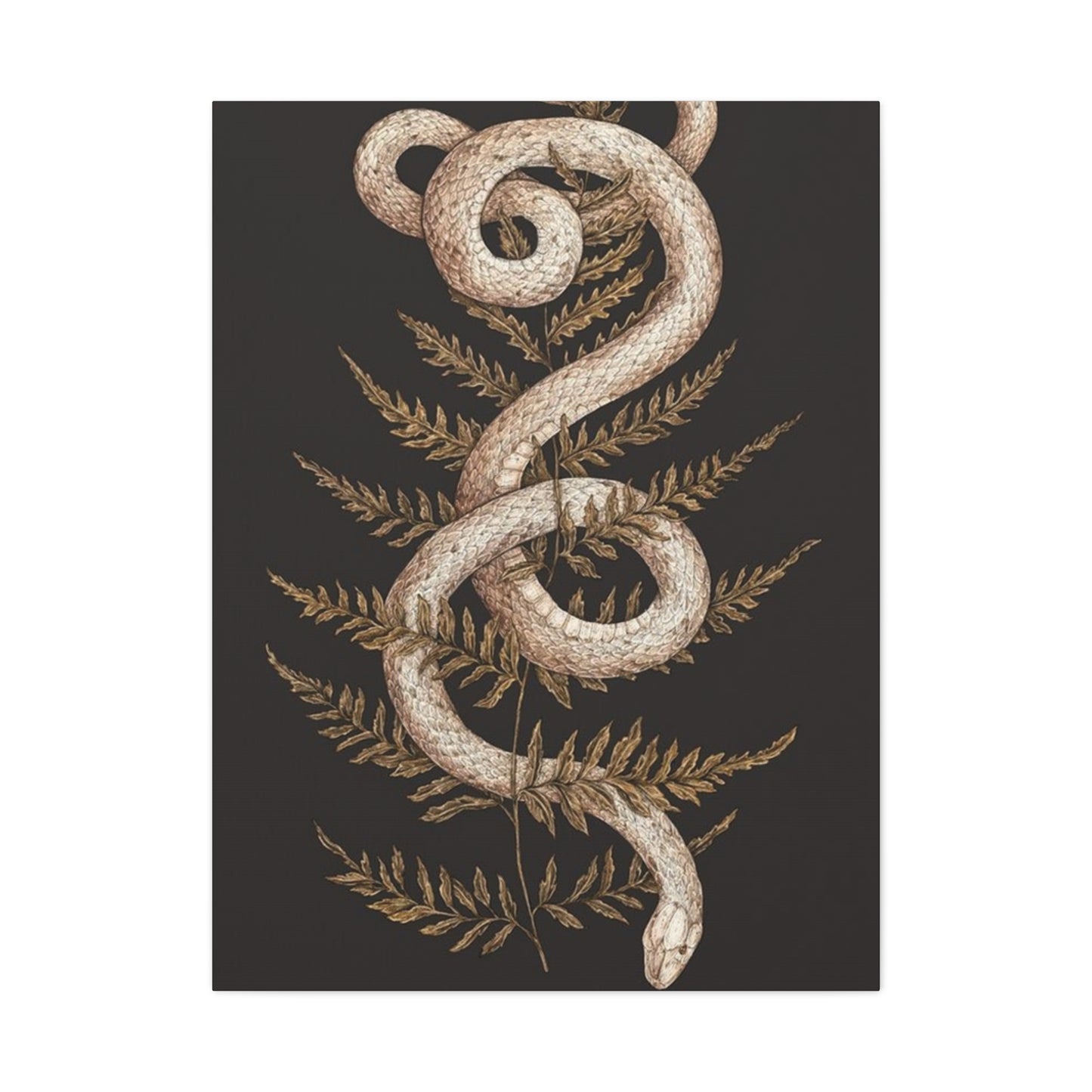 White Snake Wall Art & Canvas Prints