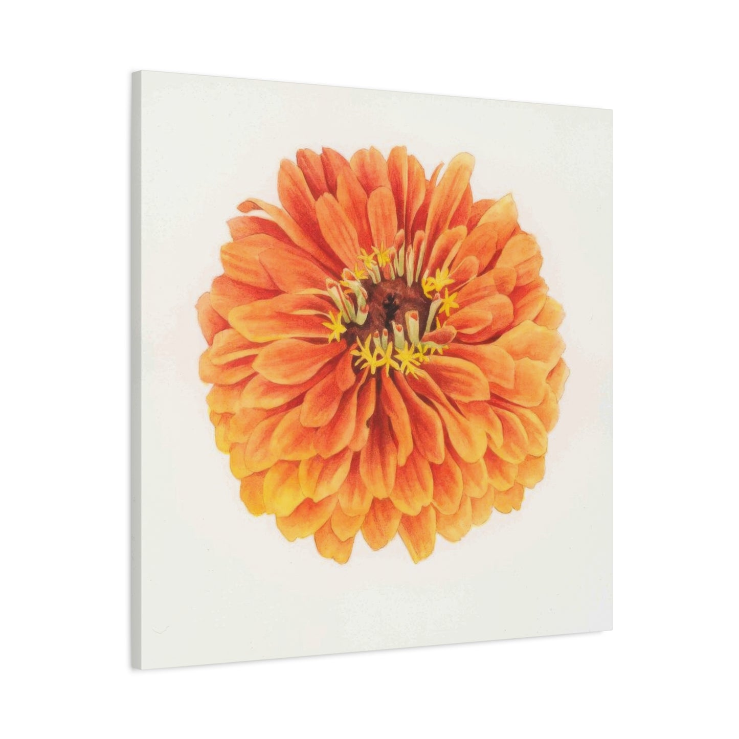 Grace Popp Orange Flower Head Wall Art & Canvas Prints