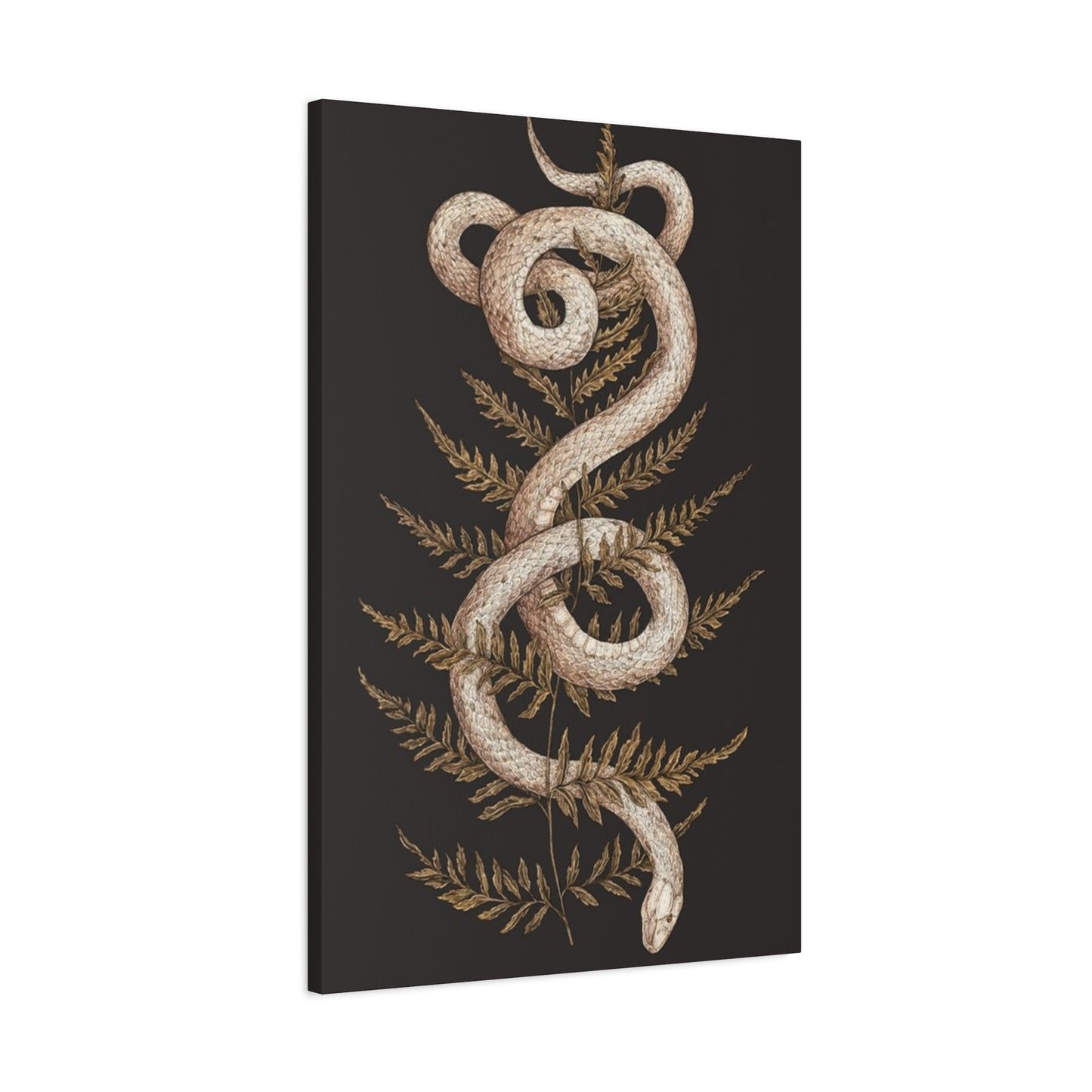 White Snake Wall Art & Canvas Prints