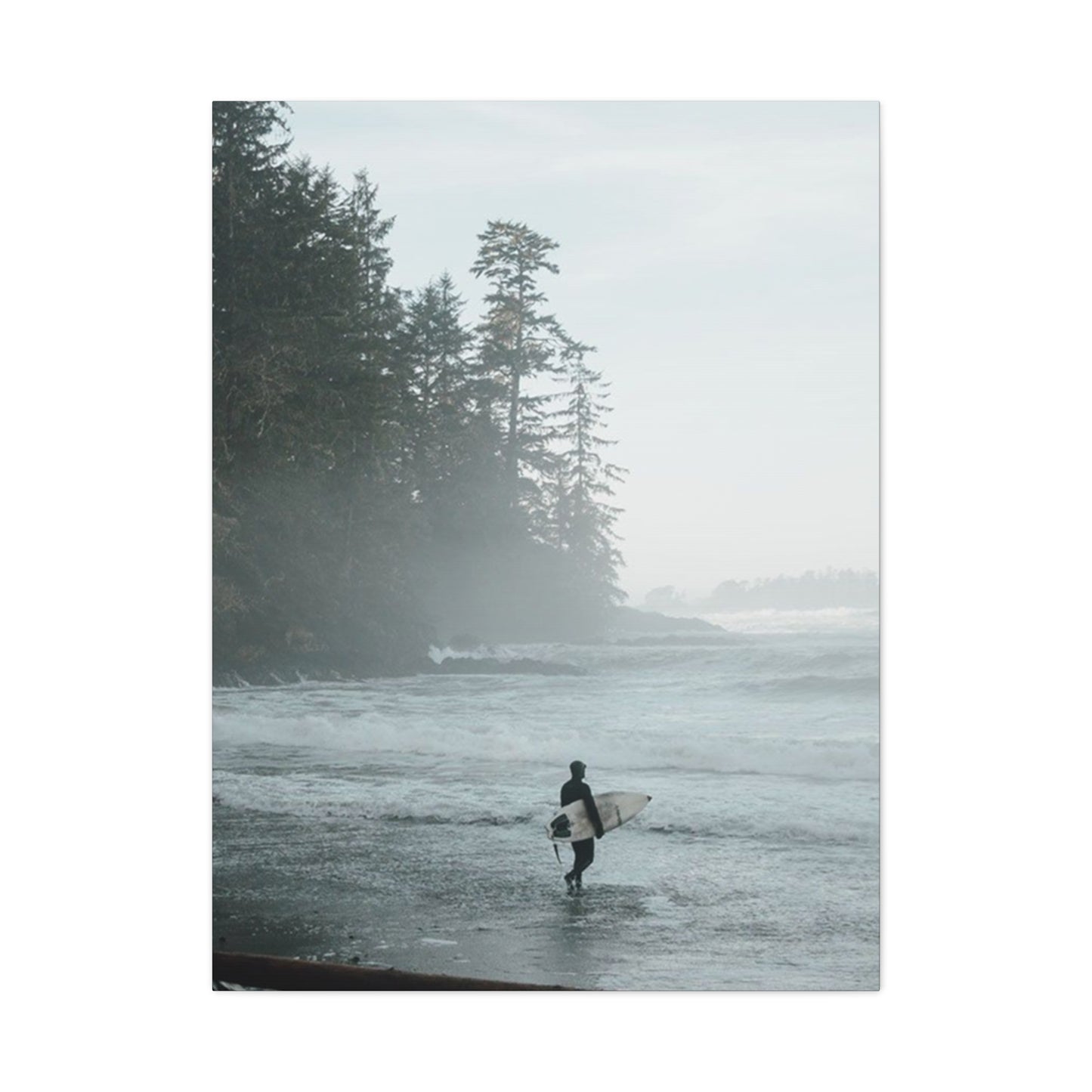 Black & White Surfing Poster Wall Art & Canvas Prints