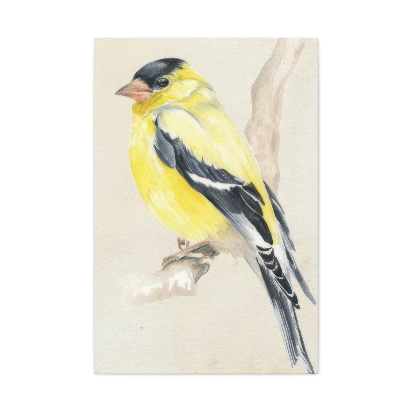 Jennifer Paxton Parker Little Bird On Branch 2 Wall Art & Canvas Prints