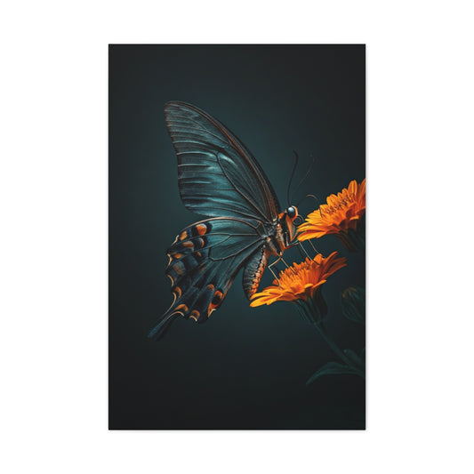 Dark Swallowtail Butterfly on Orange Blossoms Wall Art & Canvas Prints