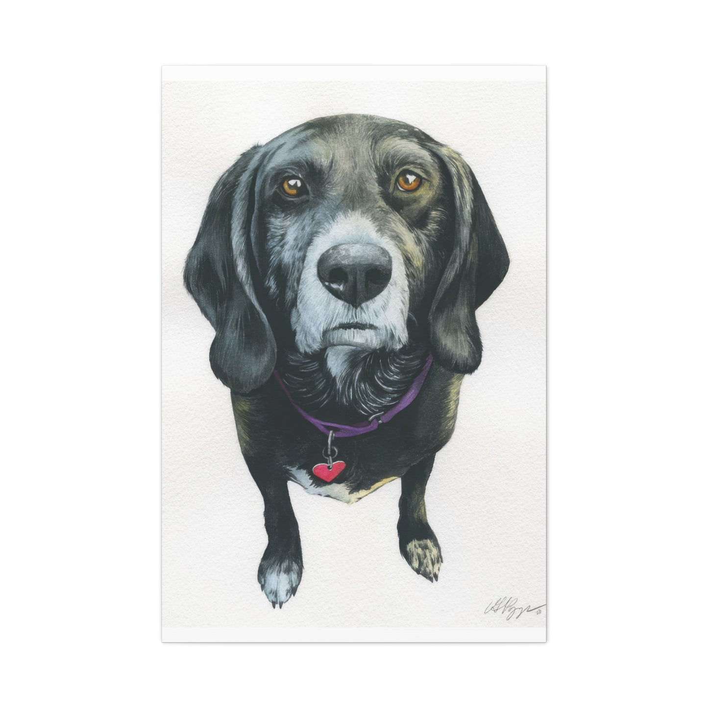 Grace Pop Black Dog Wall Art & Canvas Prints