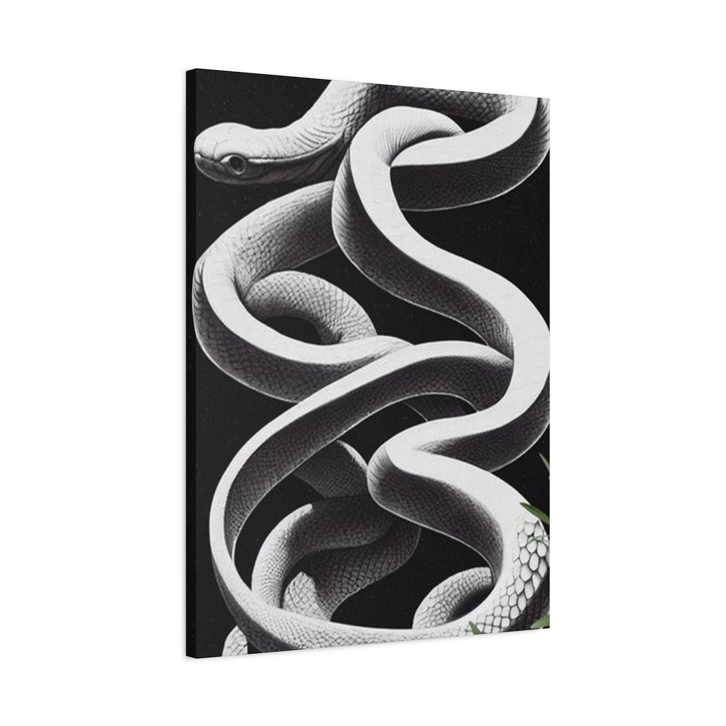 White Snake On Black Poster Wall Art & Canvas Prints