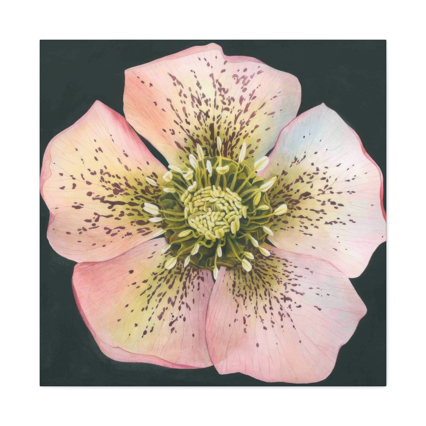 Grace Popp Flower Head Wall Art & Canvas Prints
