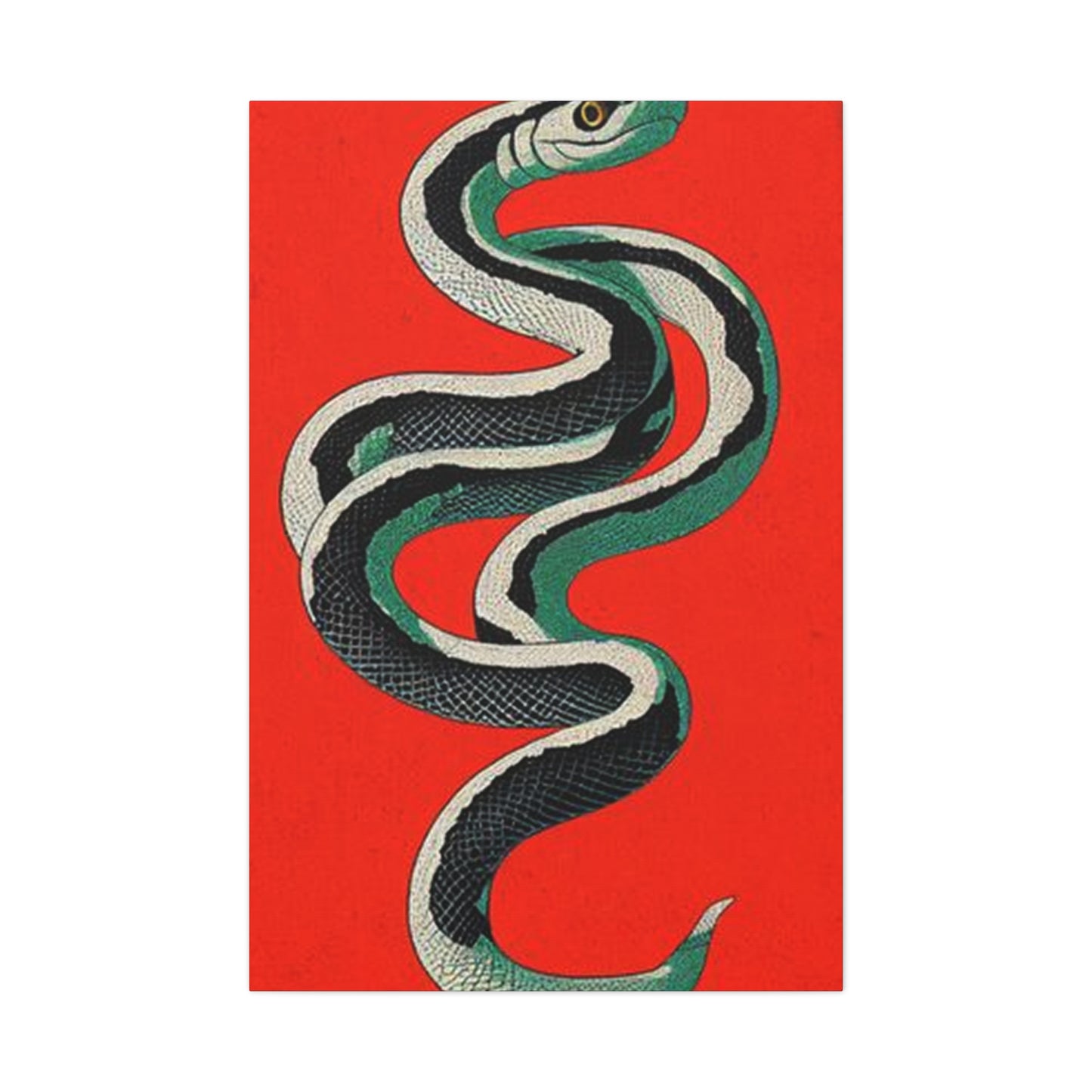 Snake's Wall Art & Canvas Prints