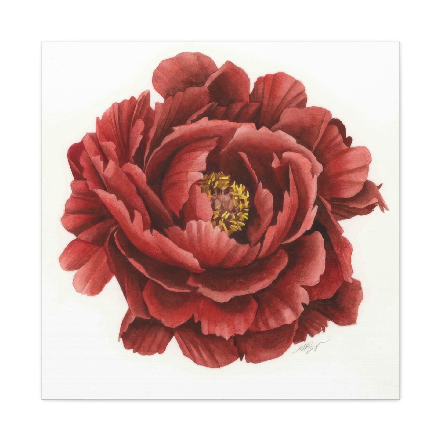 Grace Popp Red Flower Head Wall Art & Canvas Prints