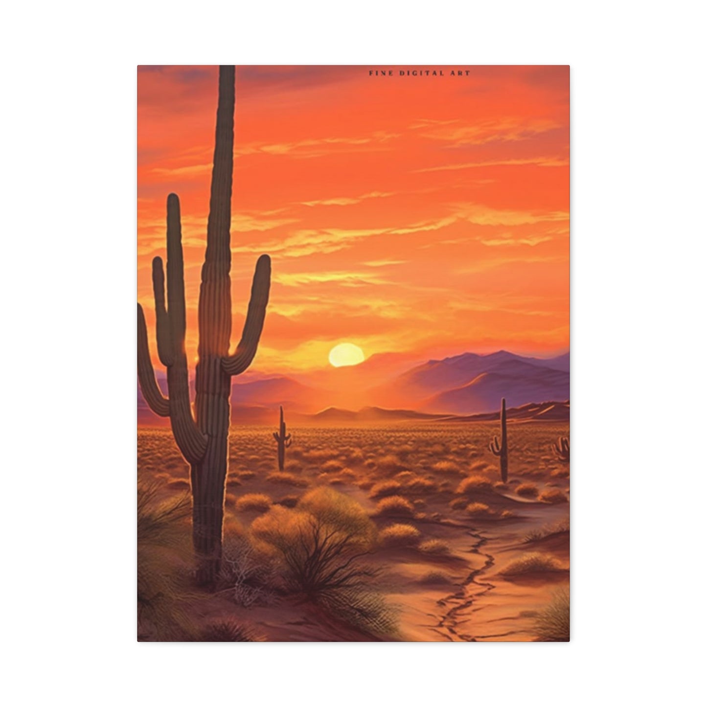 Abstract Arizona Cactus Sunset Wall Art & Canvas Prints
