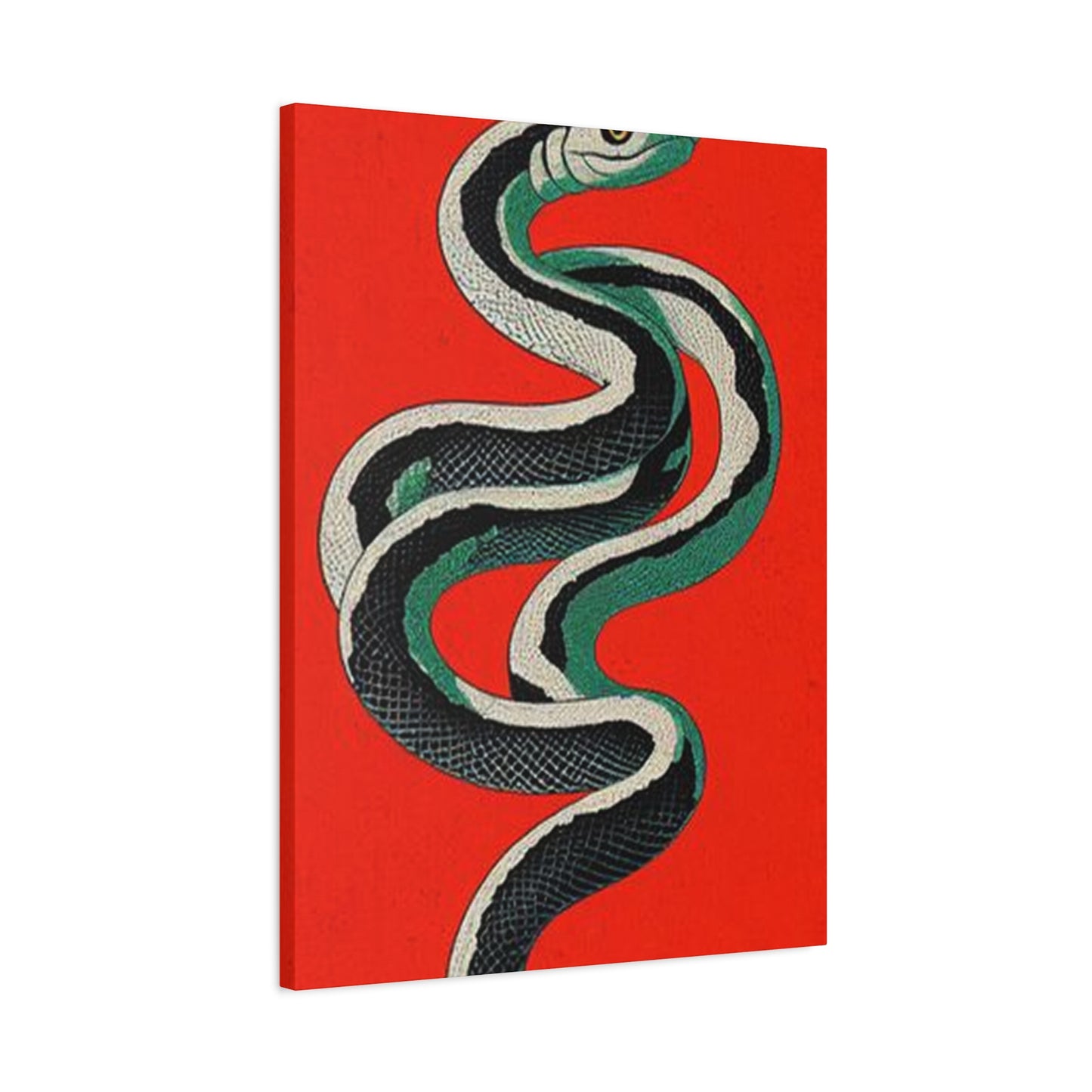 Snake's Wall Art & Canvas Prints