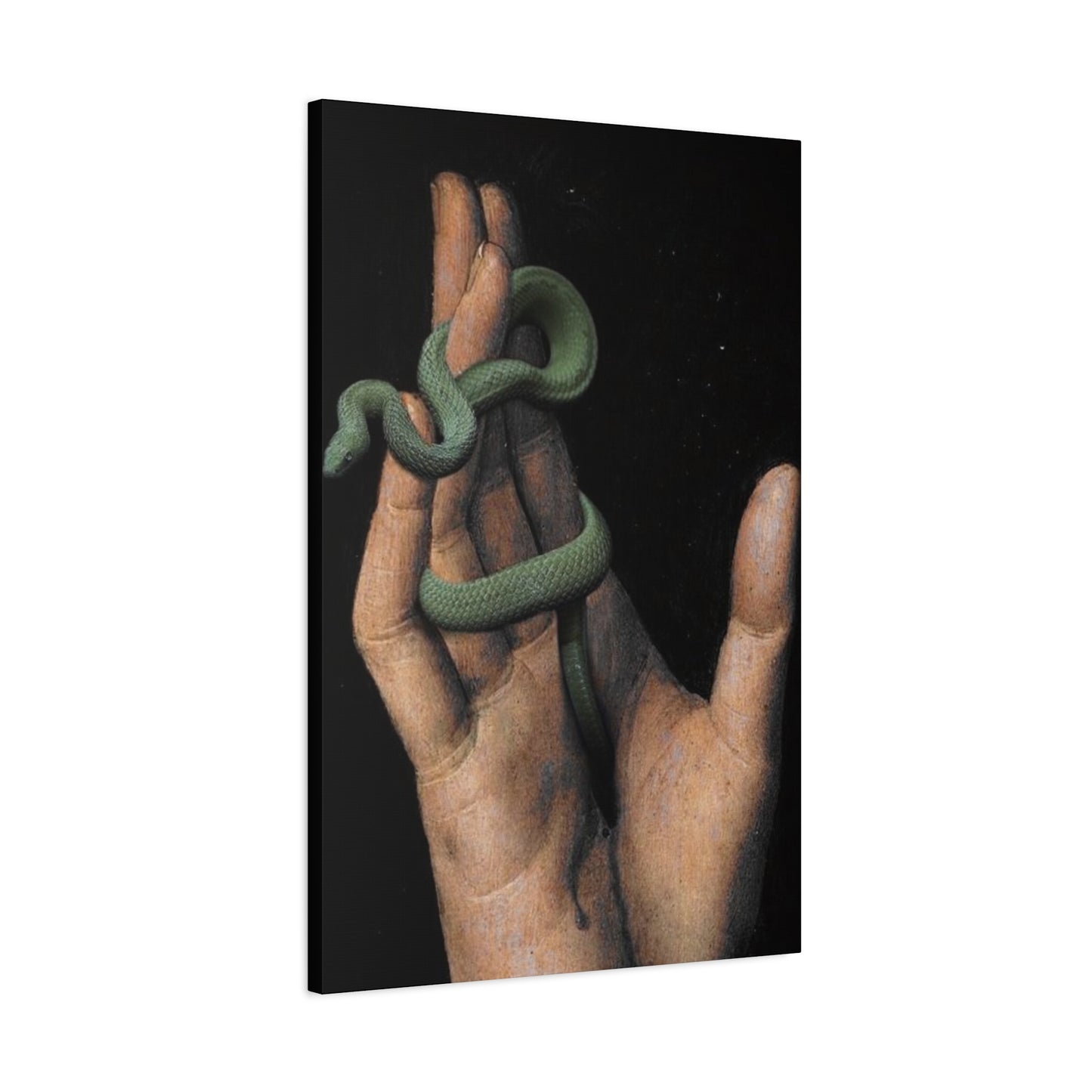 Snake On Hand Wall Art & Canvas Prints