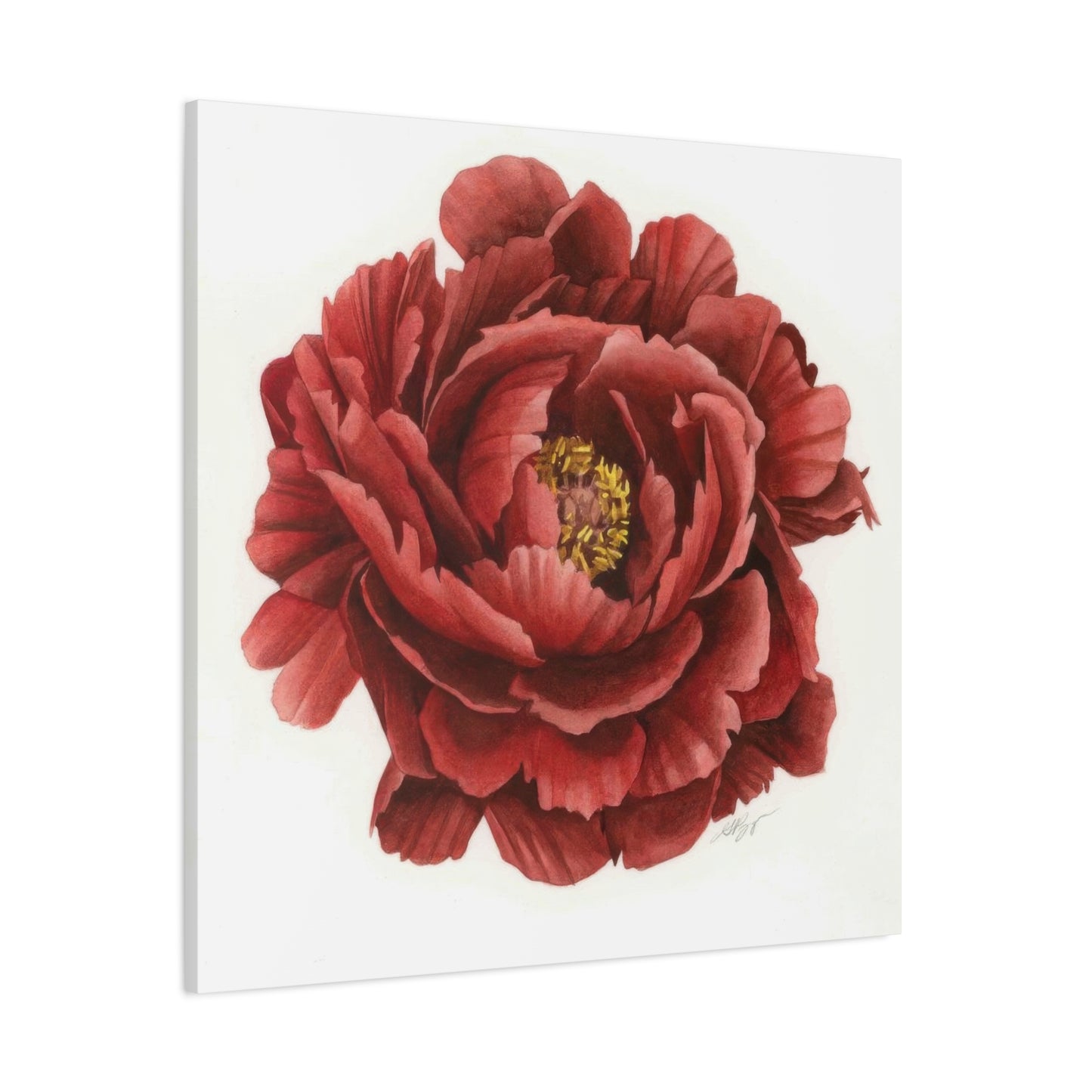 Grace Popp Red Flower Head Wall Art & Canvas Prints