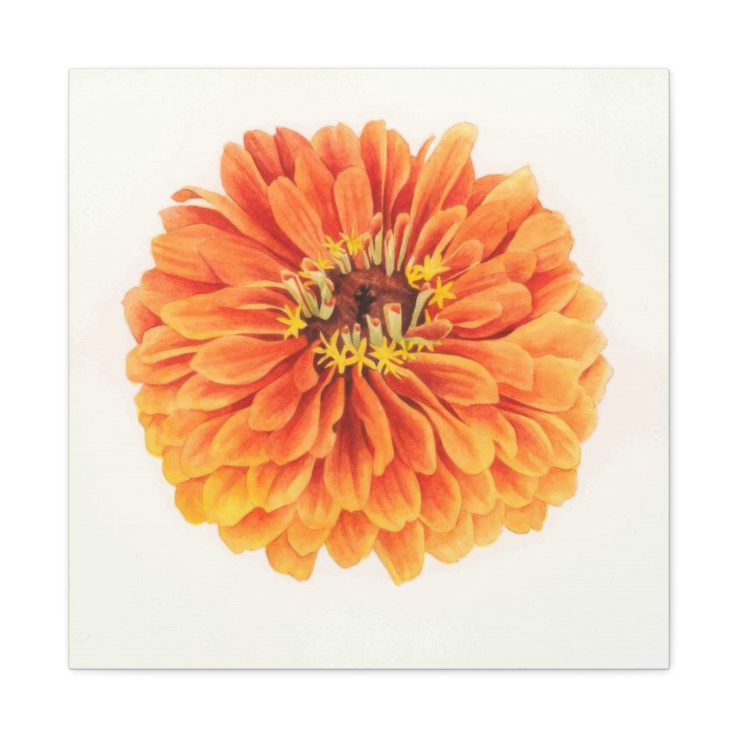 Grace Popp Orange Flower Head Wall Art & Canvas Prints