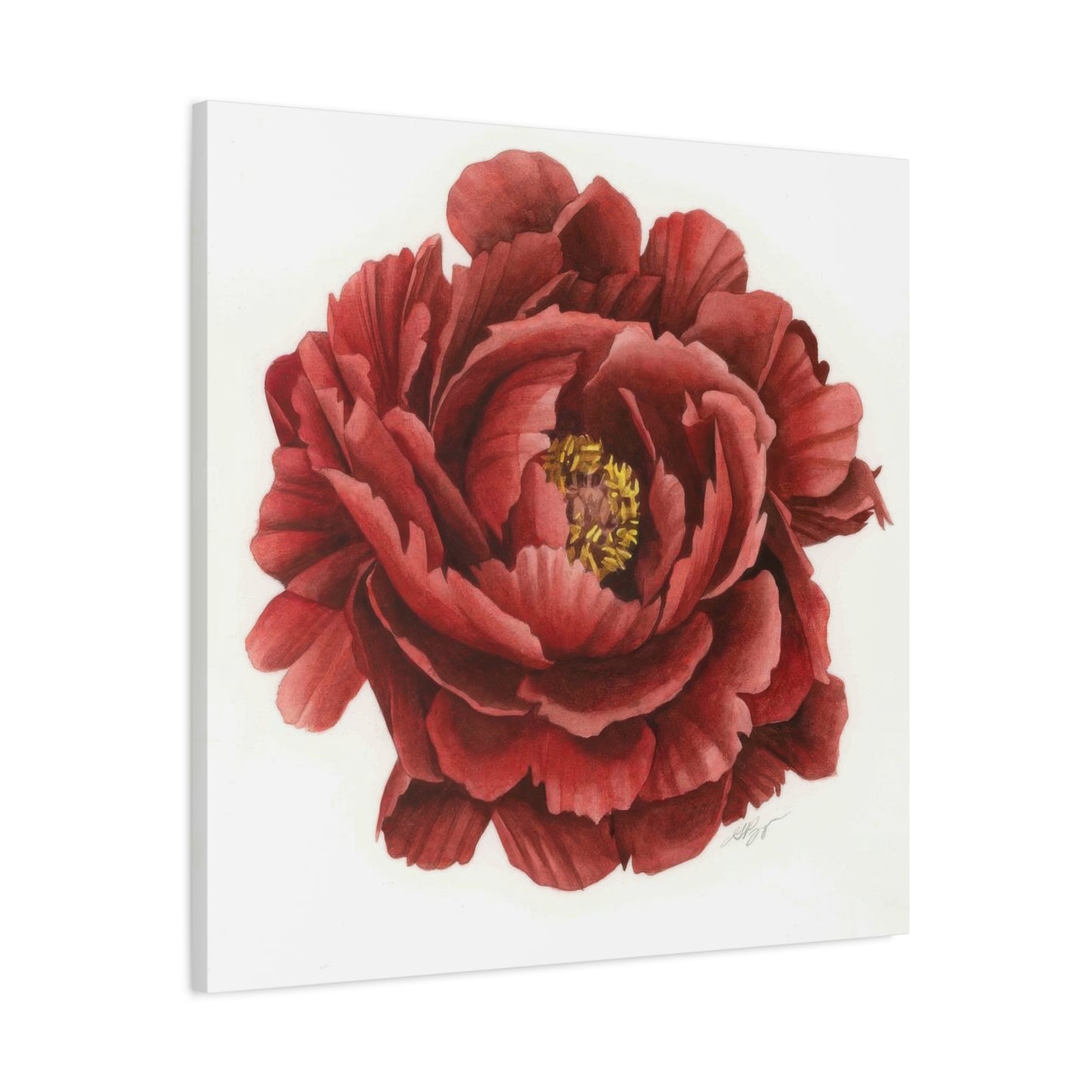 Grace Popp Red Flower Head Wall Art & Canvas Prints