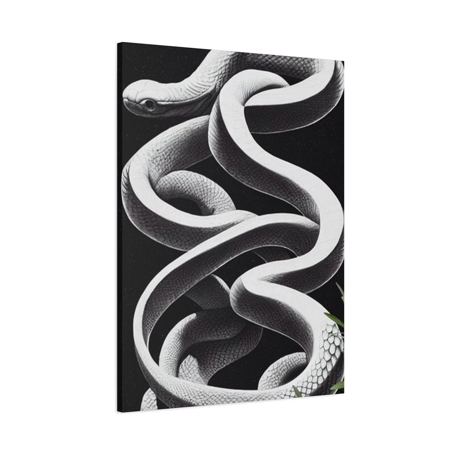 White Snake On Black Poster Wall Art & Canvas Prints