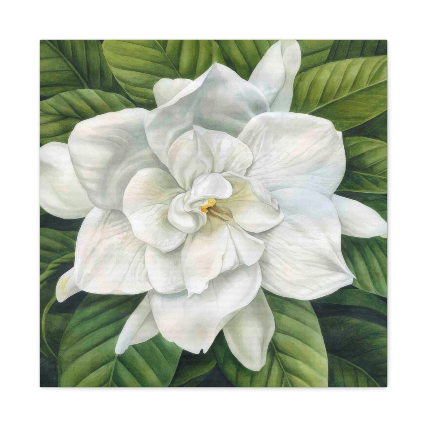 Grace Popp White Flower Head Wall Art & Canvas Prints
