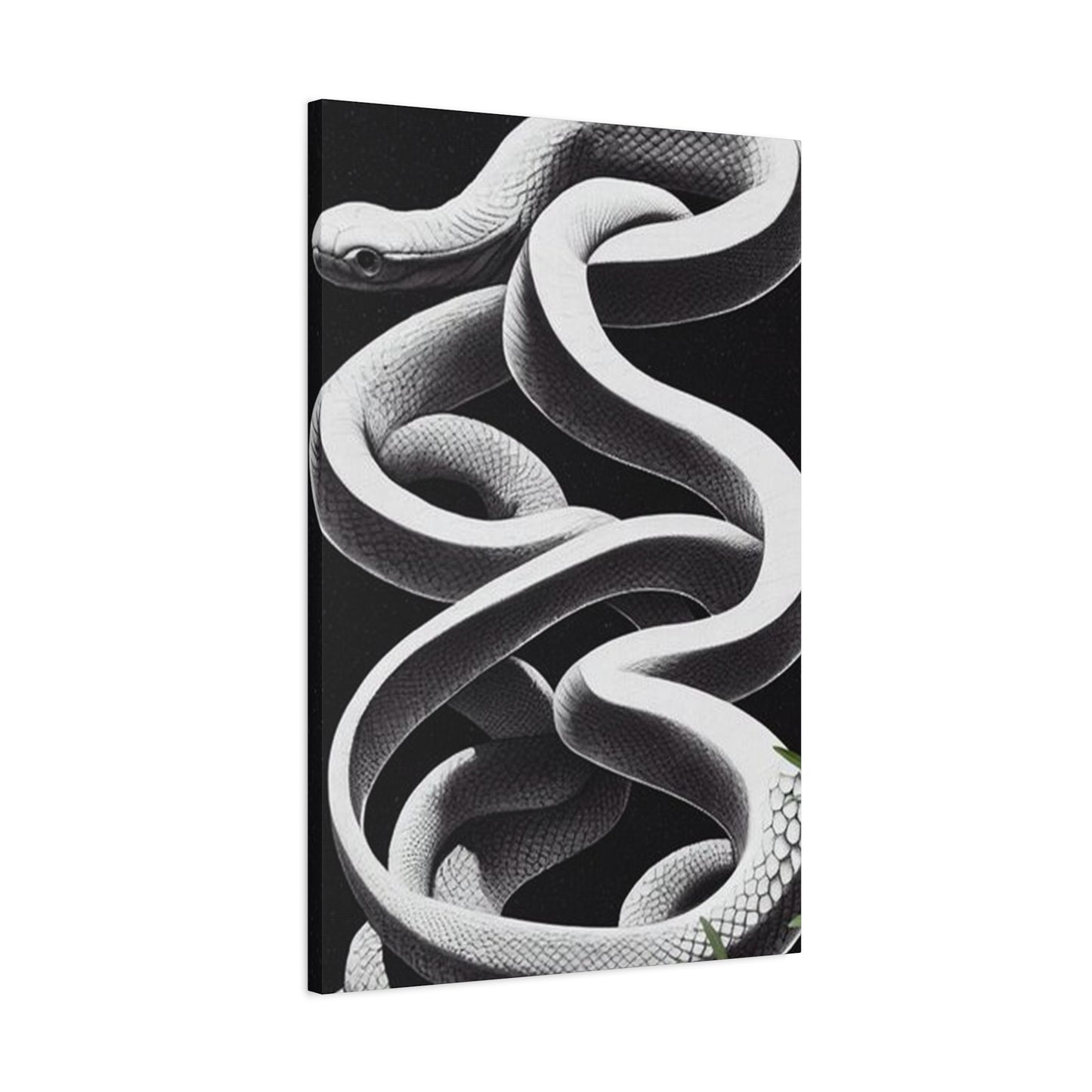 White Snake On Black Poster Wall Art & Canvas Prints
