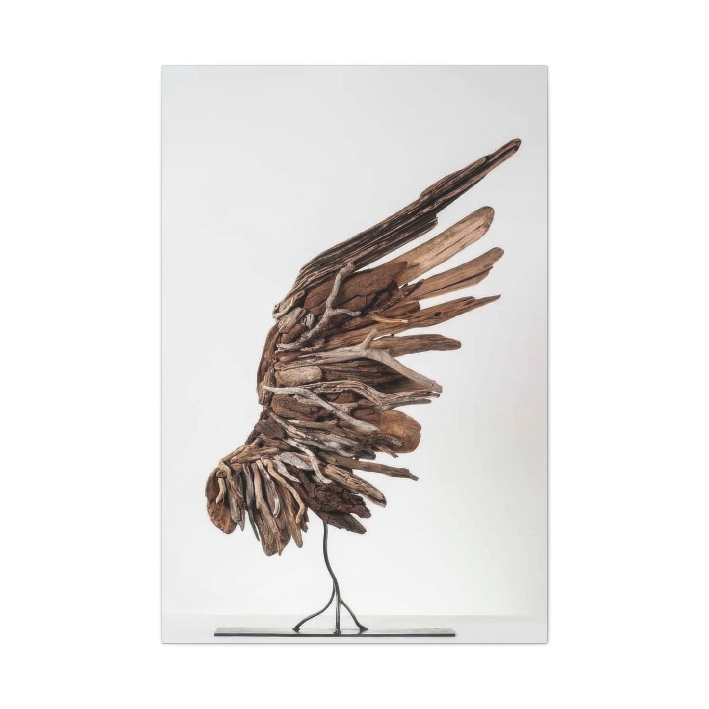 Driftwood Wing Wall Art & Canvas Prints