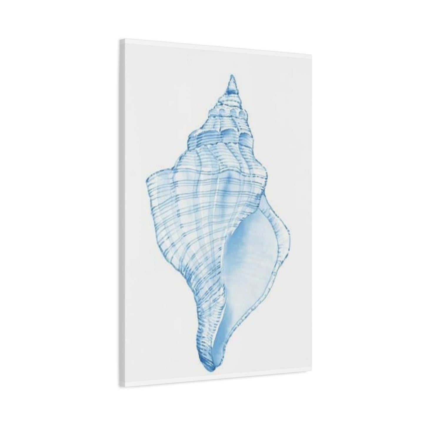 Blue Shell Drawing Wall Art & Canvas Prints