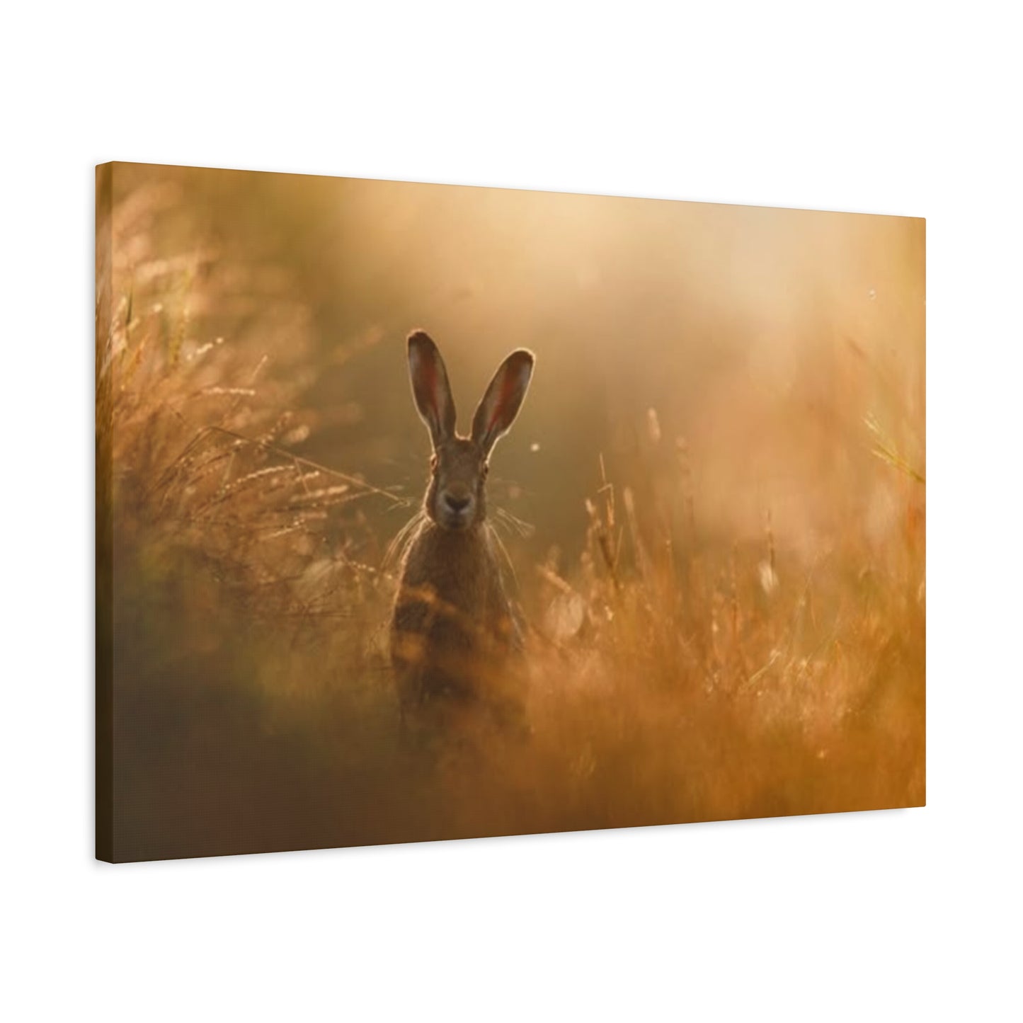 Long Ear Brown Bunny Wall Art & Canvas Prints