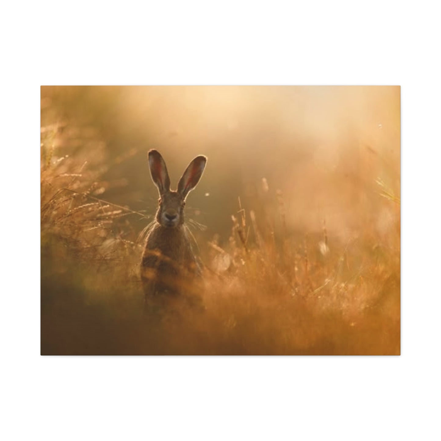 Long Ear Brown Bunny Wall Art & Canvas Prints