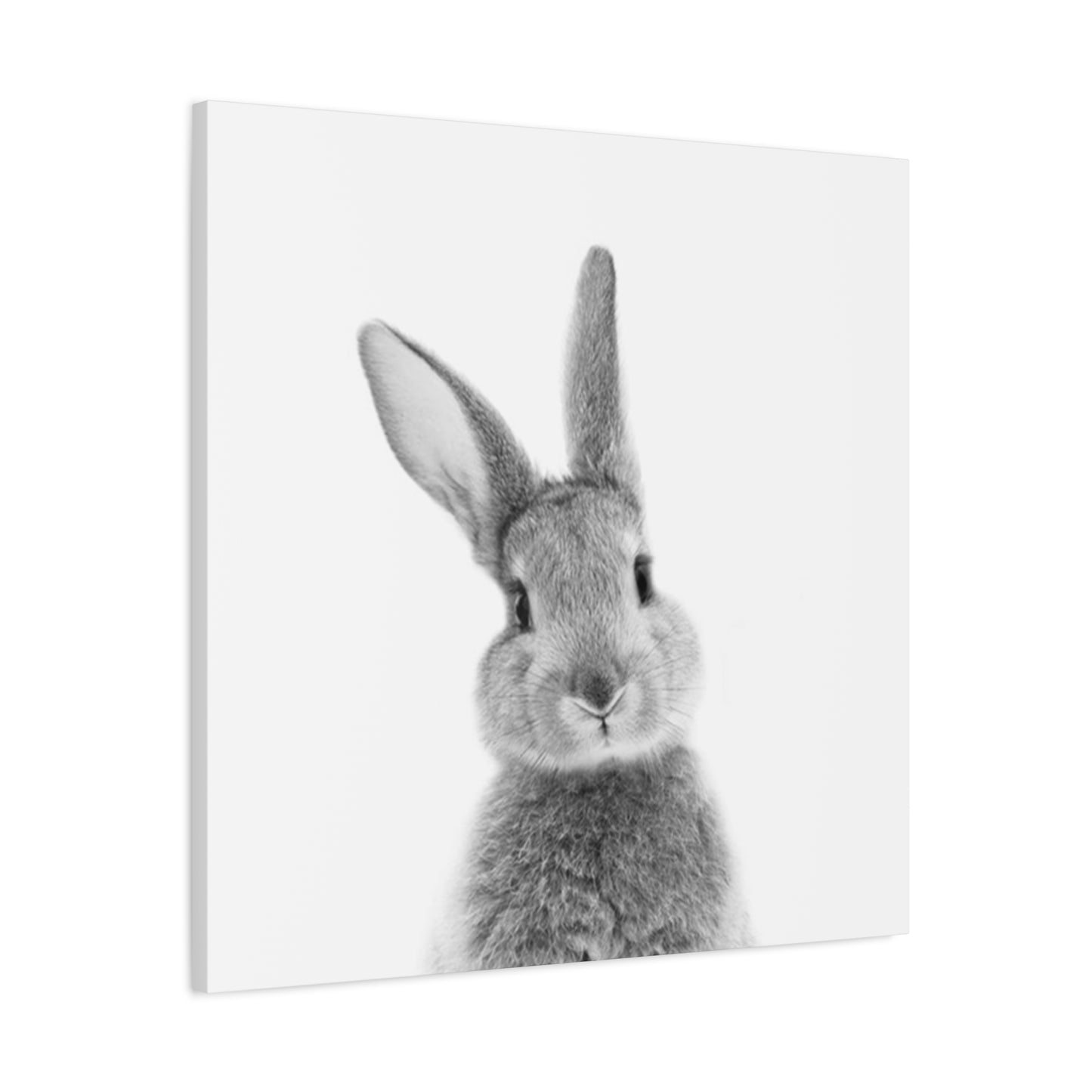 Black And White Rabbit Wall Art & Canvas Prints