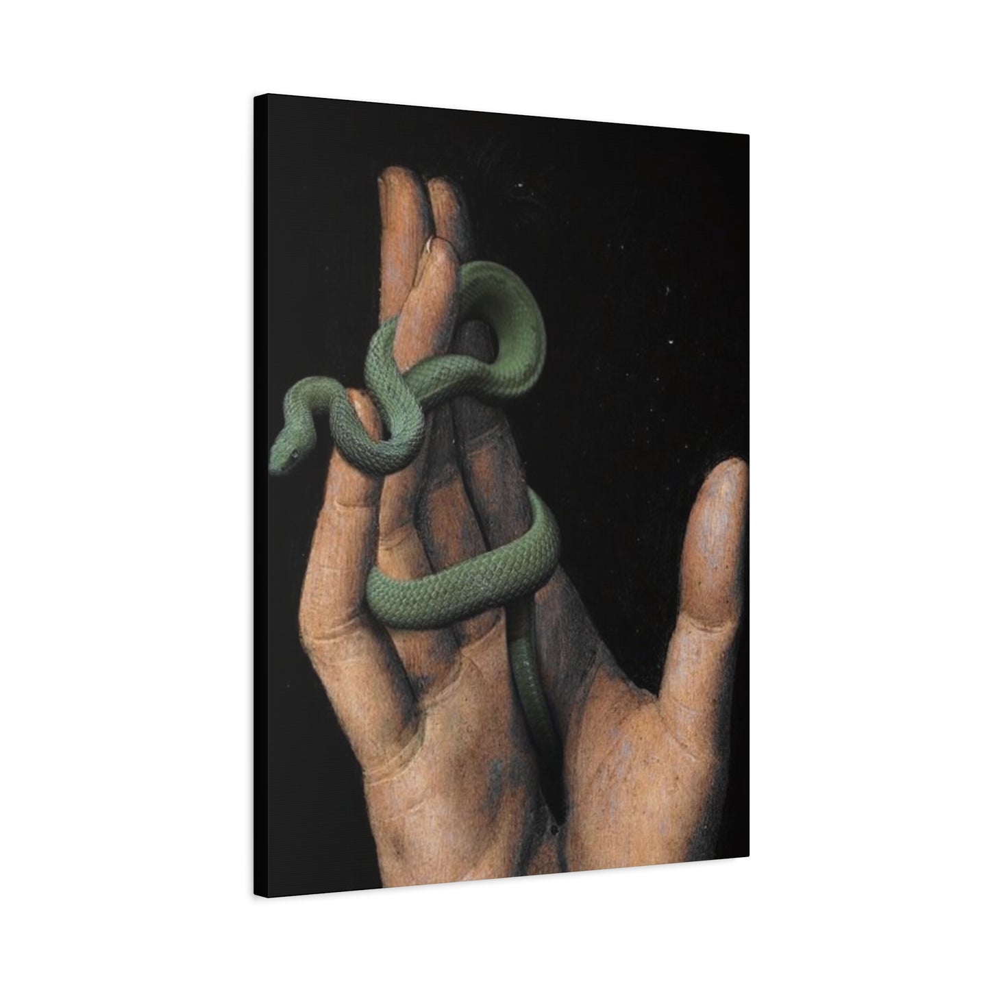 Snake On Hand Wall Art & Canvas Prints
