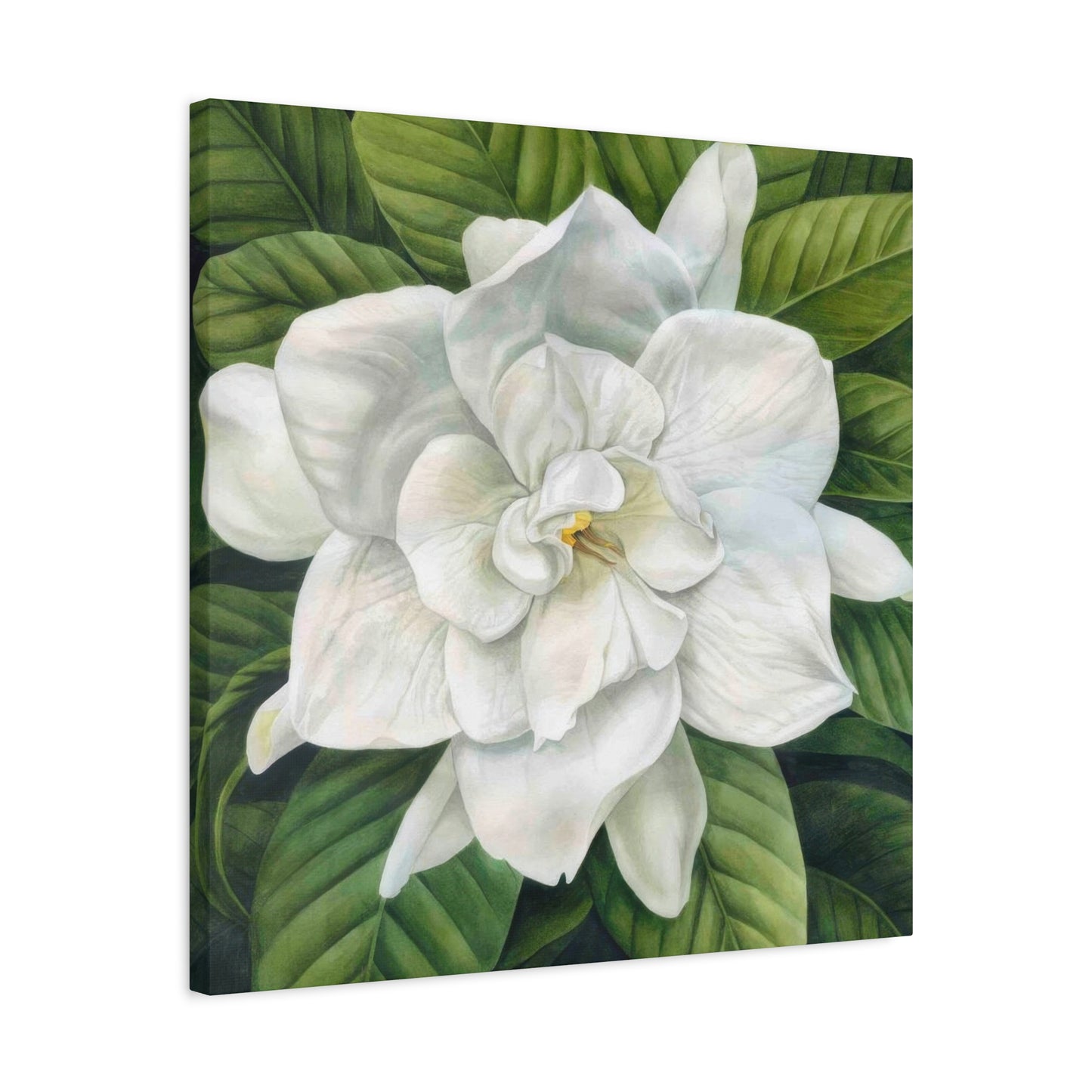 Grace Popp White Flower Head Wall Art & Canvas Prints