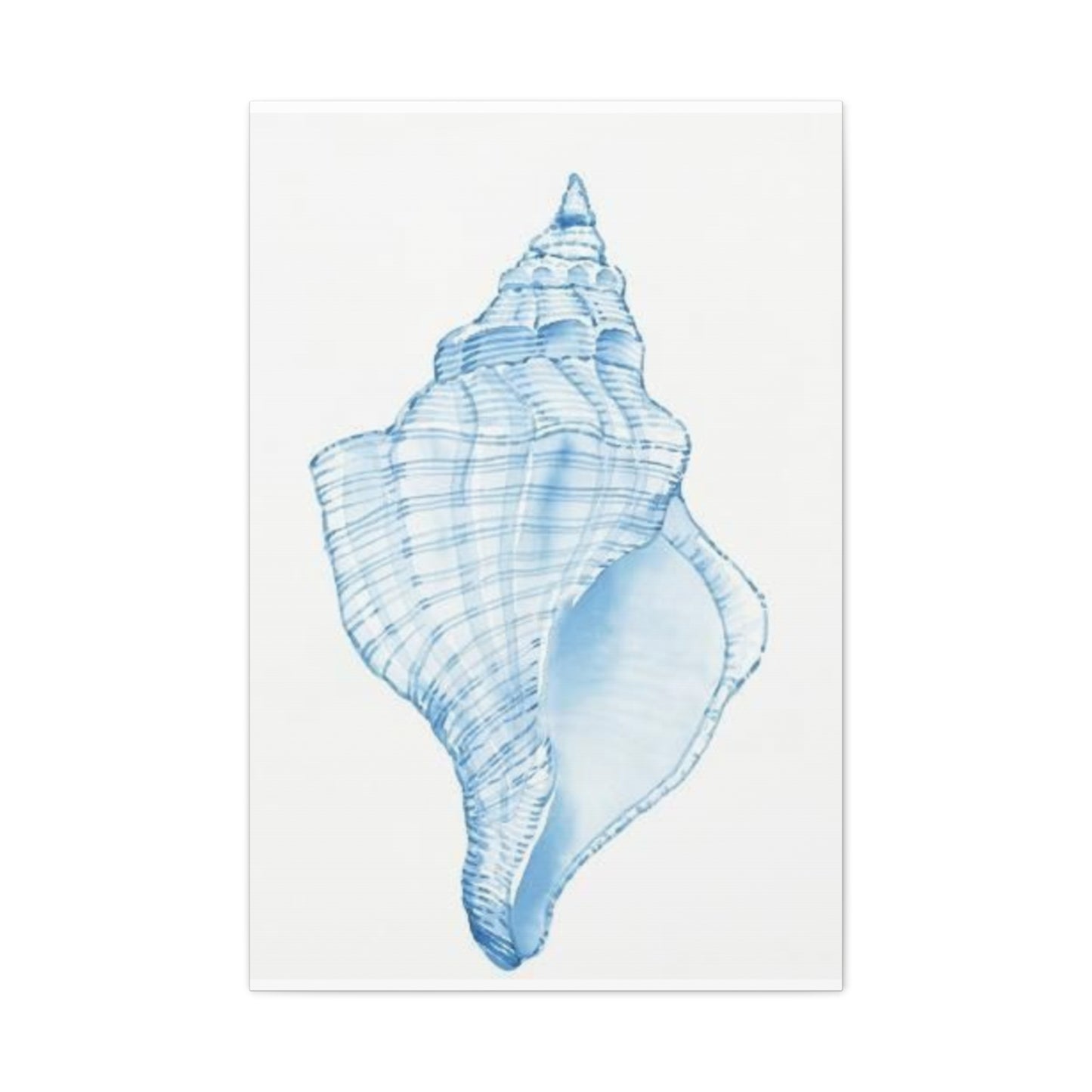 Blue Shell Drawing Wall Art & Canvas Prints