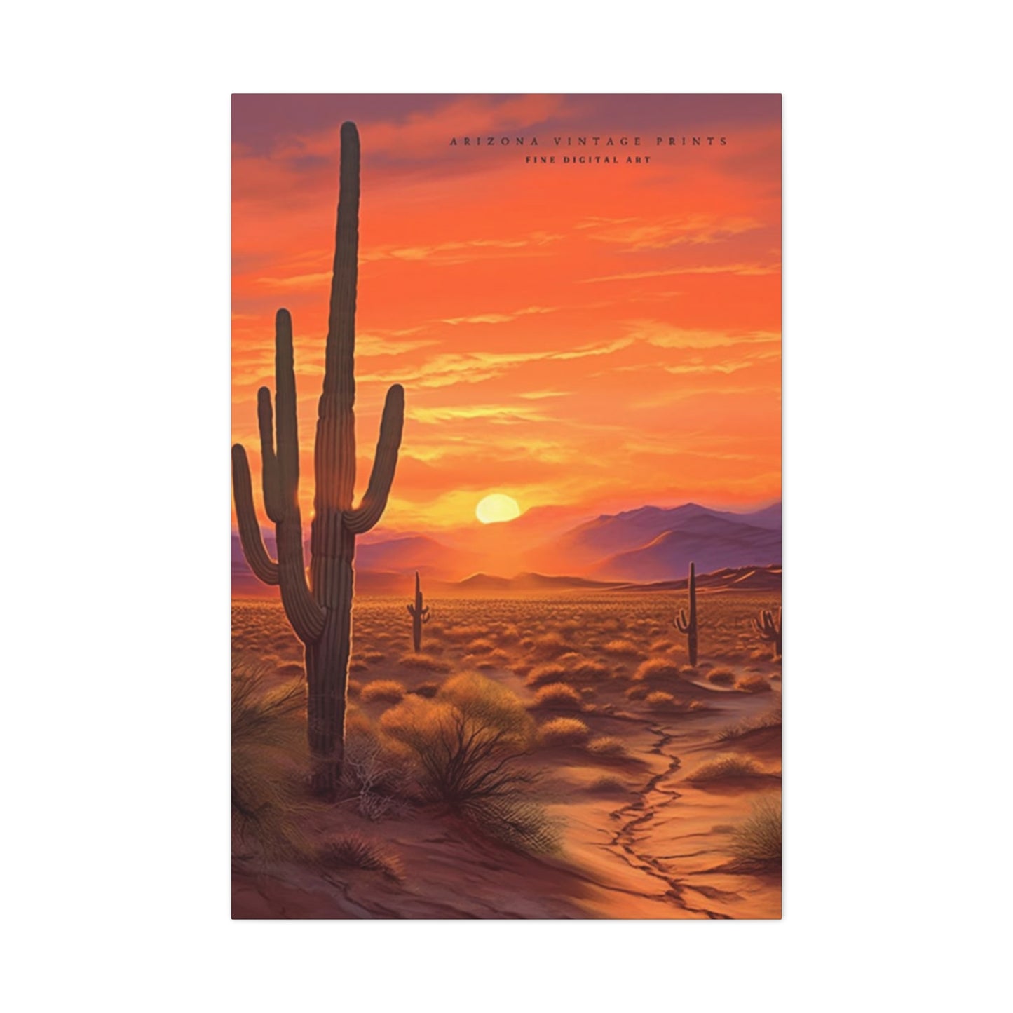 Abstract Arizona Cactus Sunset Wall Art & Canvas Prints