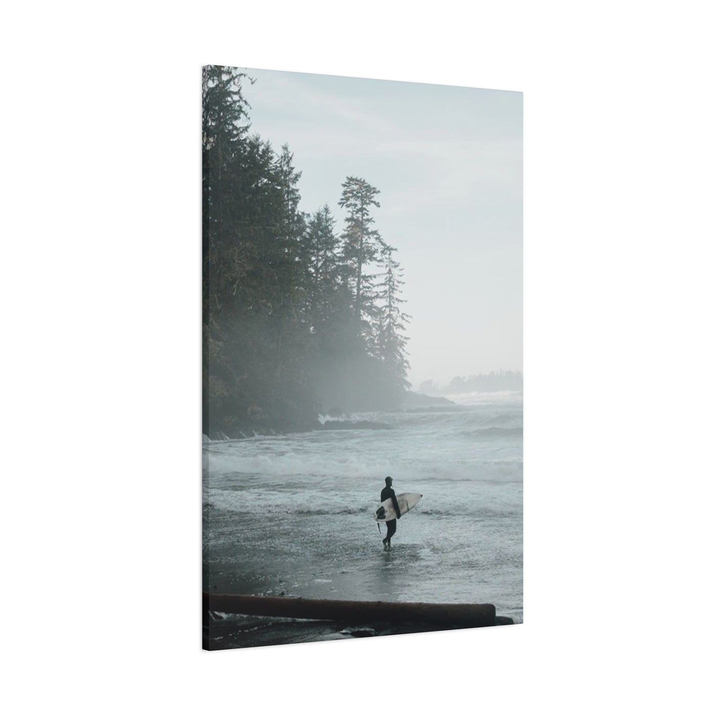 Black & White Surfing Poster Wall Art & Canvas Prints