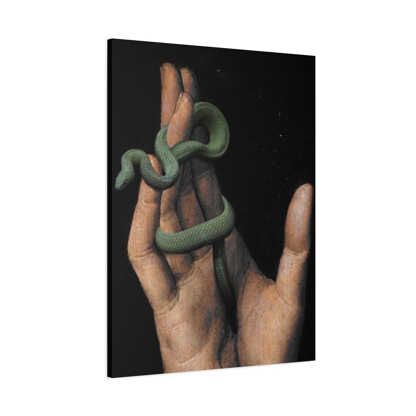 Snake On Hand Wall Art & Canvas Prints
