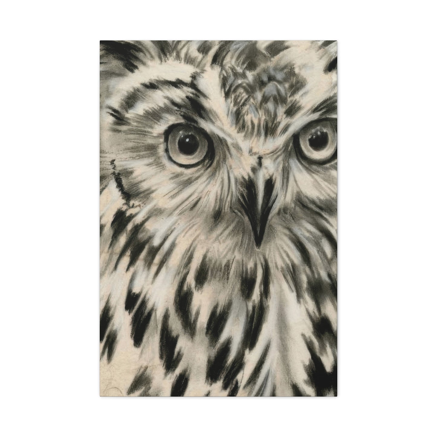 Jennifer Paxton Parker Charcoal Owl Wall Art & Canvas Prints