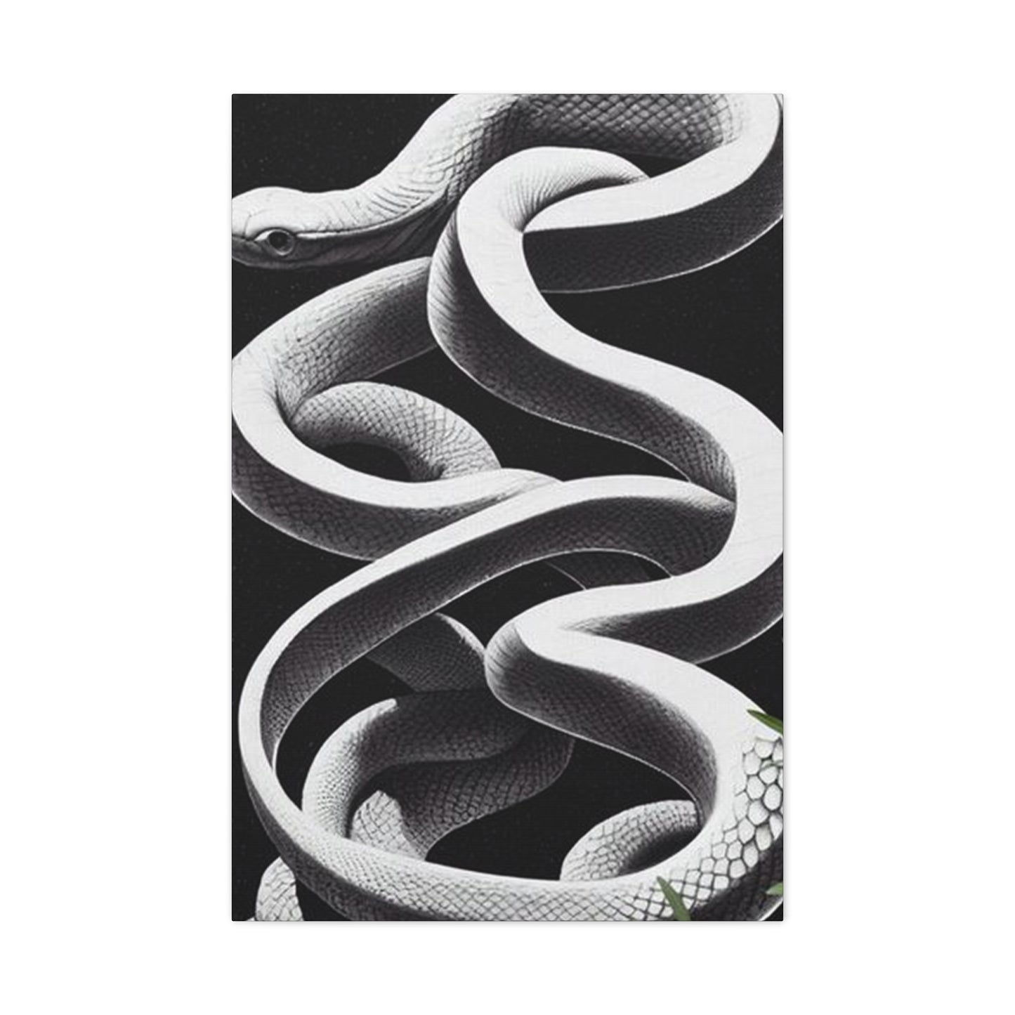 White Snake On Black Poster Wall Art & Canvas Prints