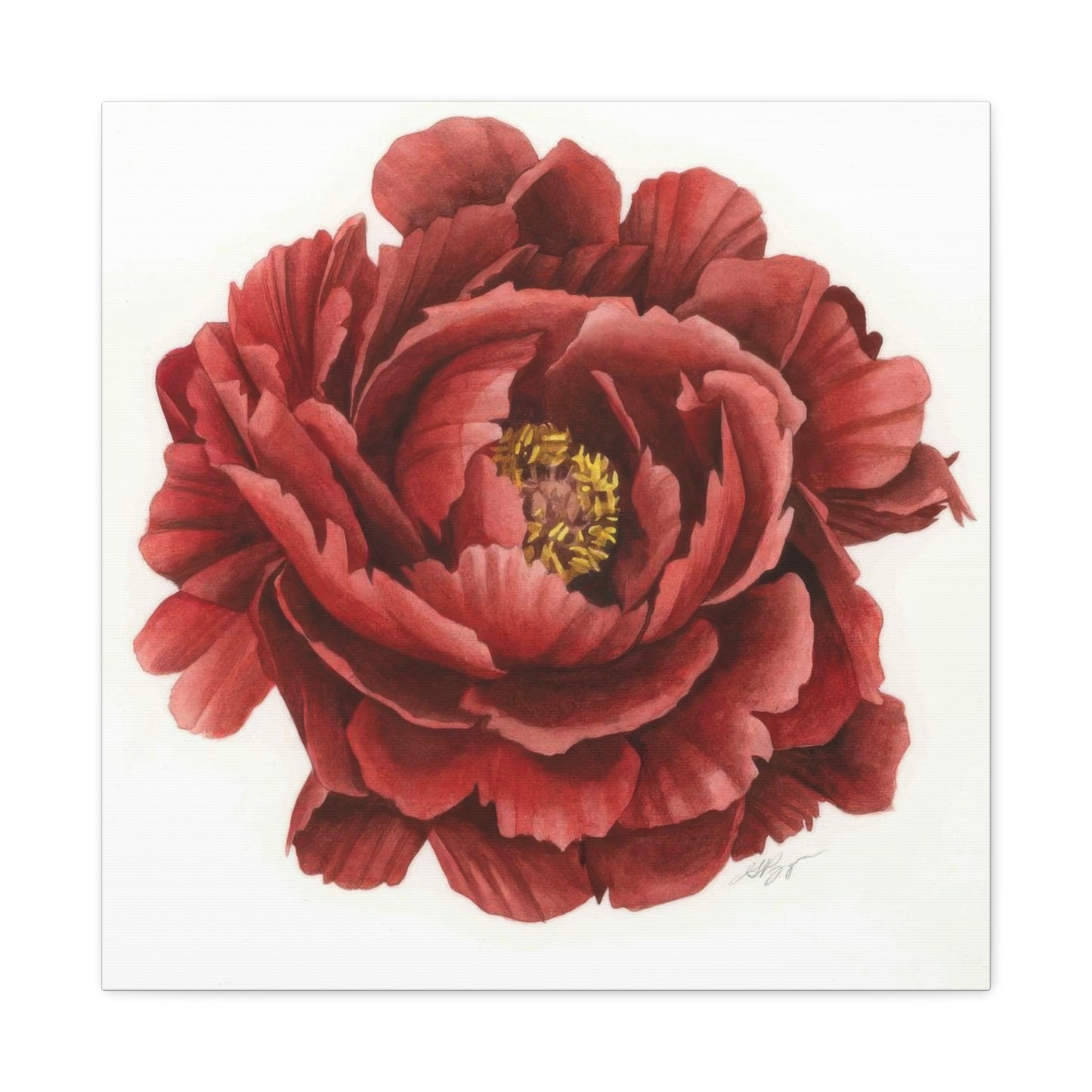 Grace Popp Red Flower Head Wall Art & Canvas Prints