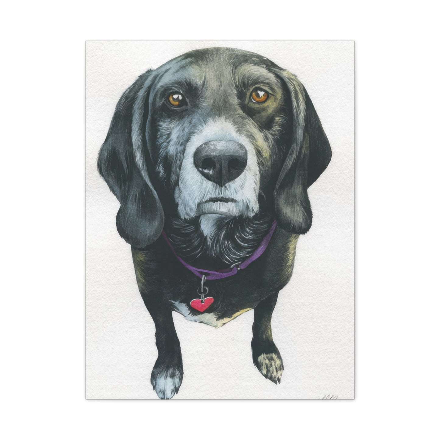 Grace Pop Black Dog Wall Art & Canvas Prints
