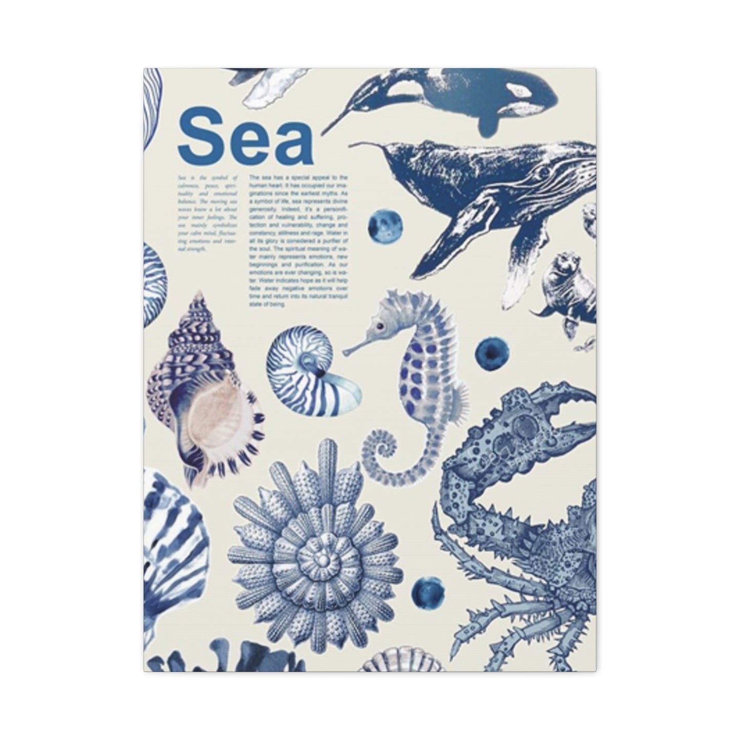 Beautiful Sea Creatures Poster Wall Art & Canvas Prints
