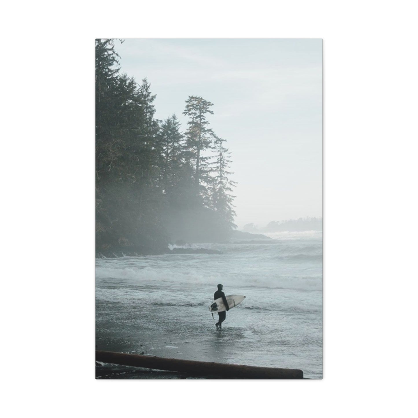 Black & White Surfing Poster Wall Art & Canvas Prints