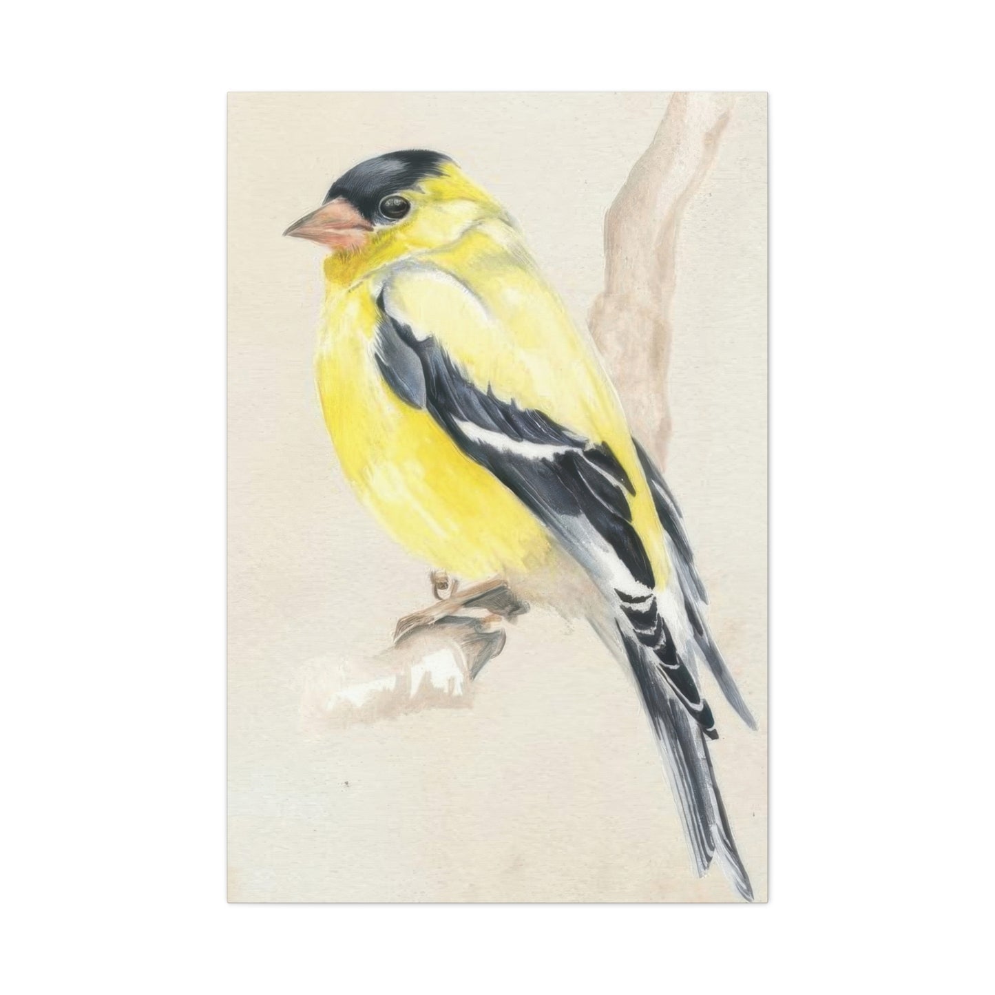 Jennifer Paxton Parker Little Bird On Branch 2 Wall Art & Canvas Prints