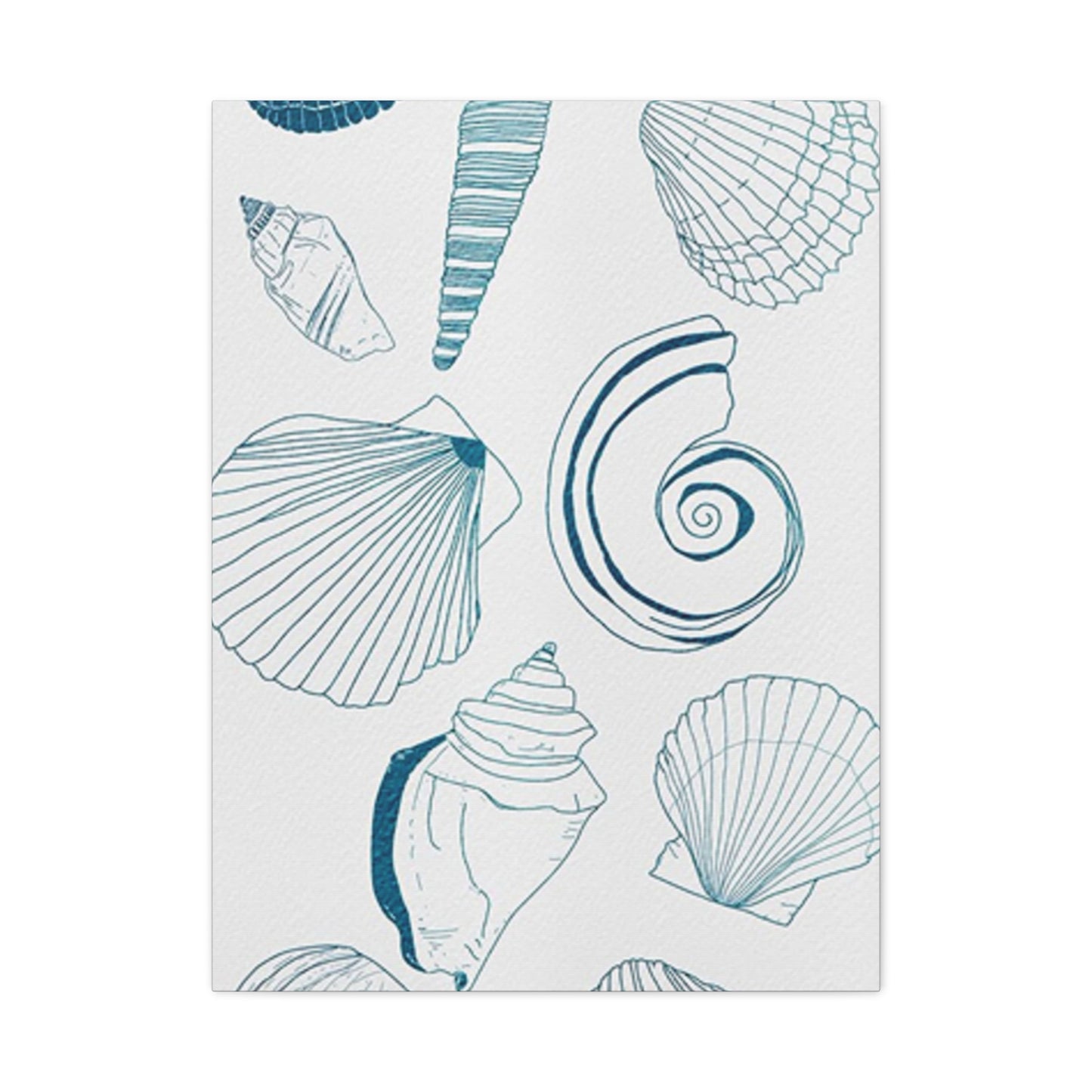 Beautiful Sea Shells Poster Wall Art & Canvas Prints